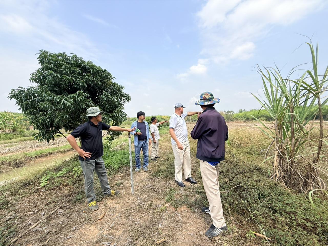 ภาพประกอบที่ 1