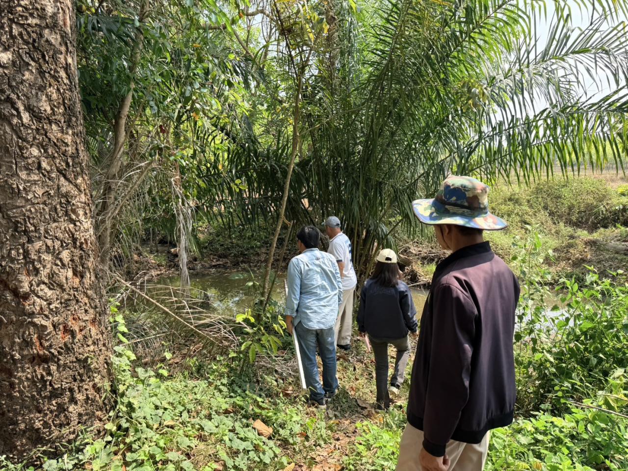 ภาพประกอบที่ 2