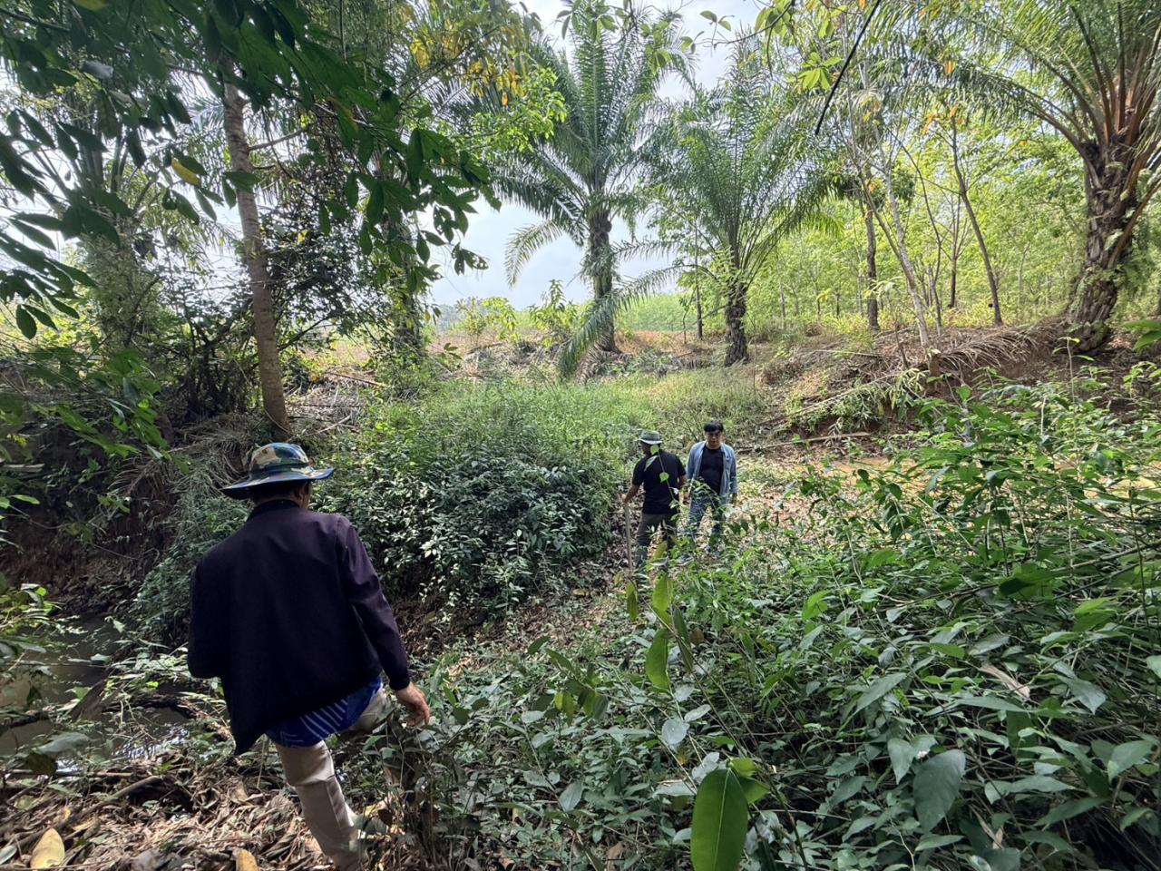 ภาพประกอบที่ 13