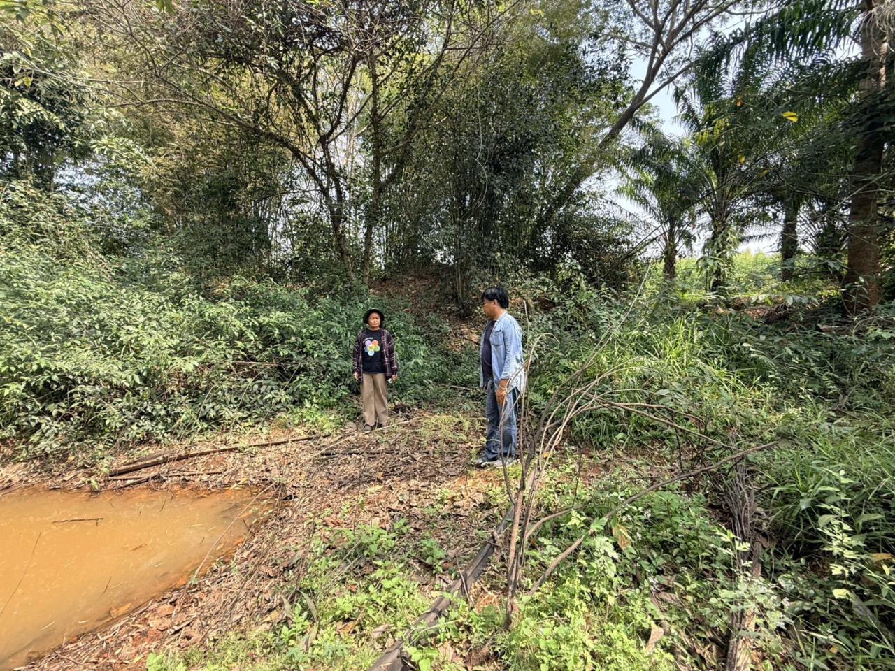 ภาพประกอบที่ 14