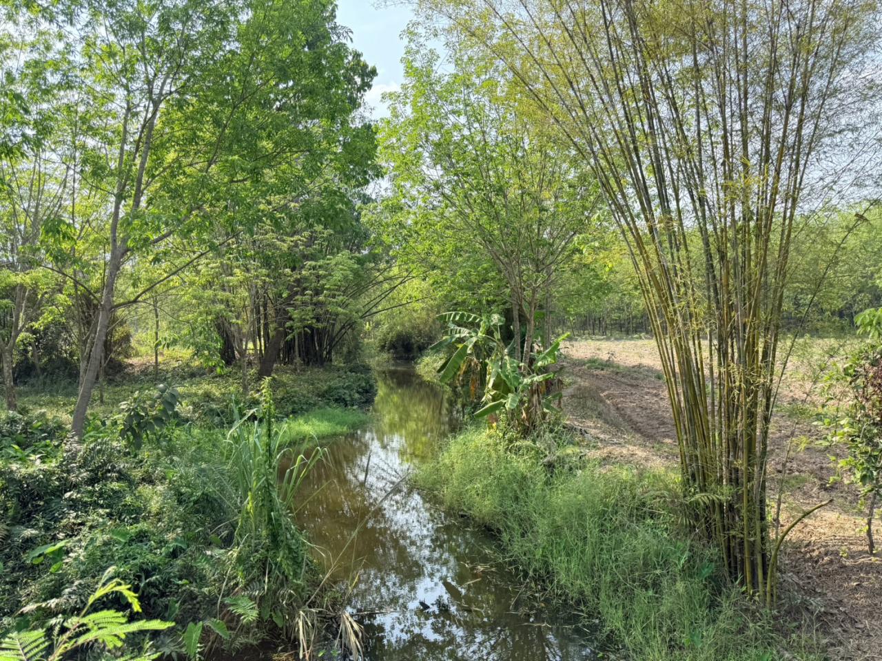 ภาพประกอบที่ 15