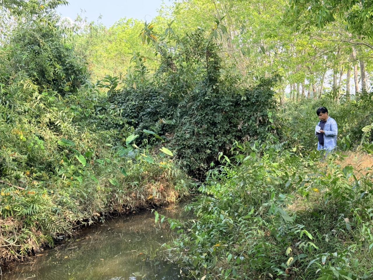 ภาพประกอบที่ 17