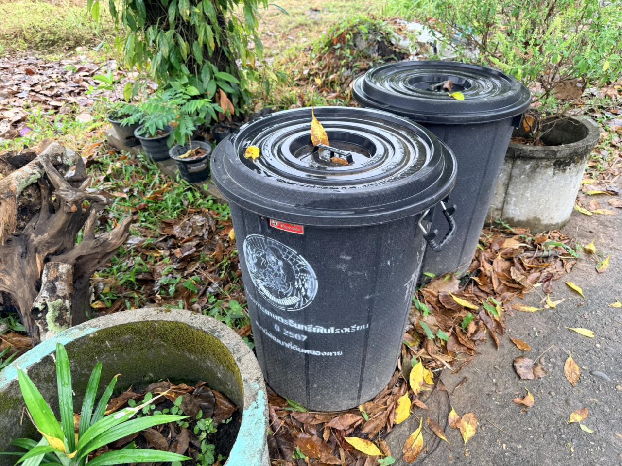 ภาพประกอบที่ 2