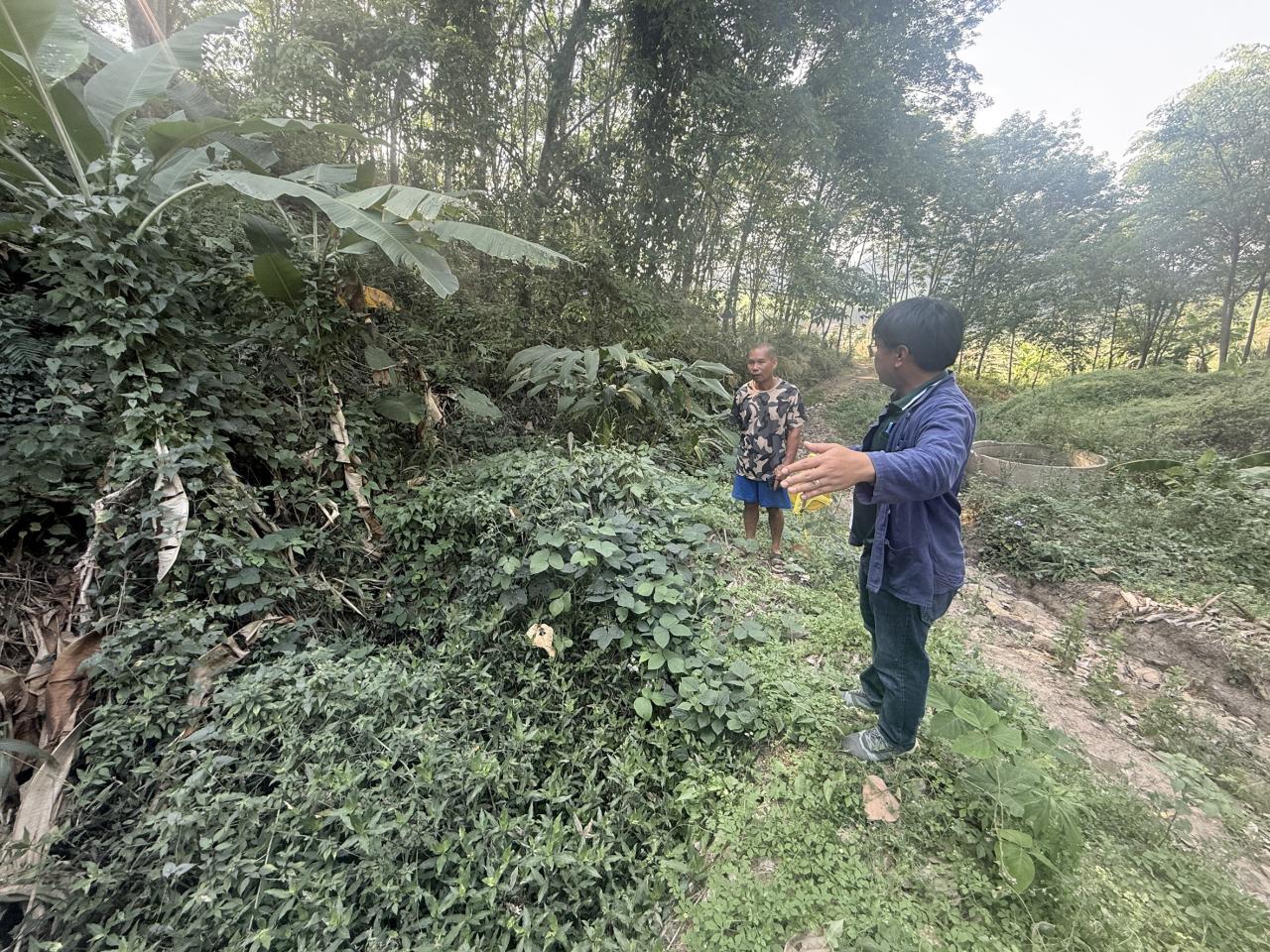 ภาพประกอบที่ 9