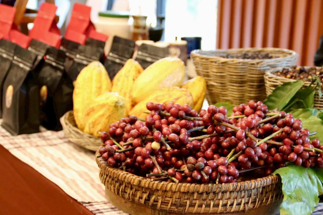 ภาพประกอบที่ 15