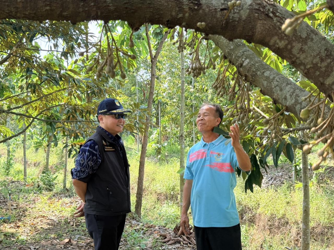 ภาพประกอบที่ 7