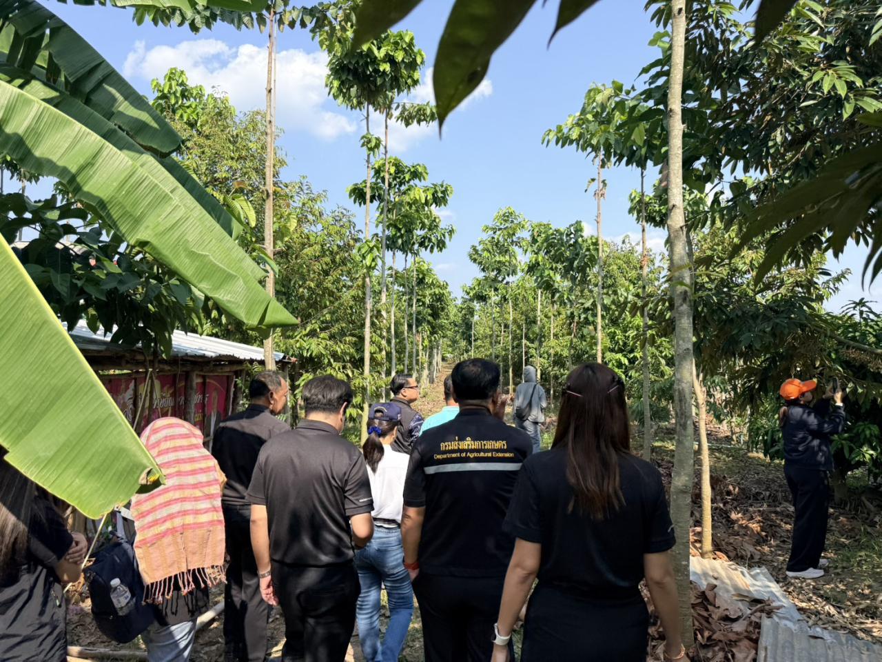 ภาพประกอบที่ 9