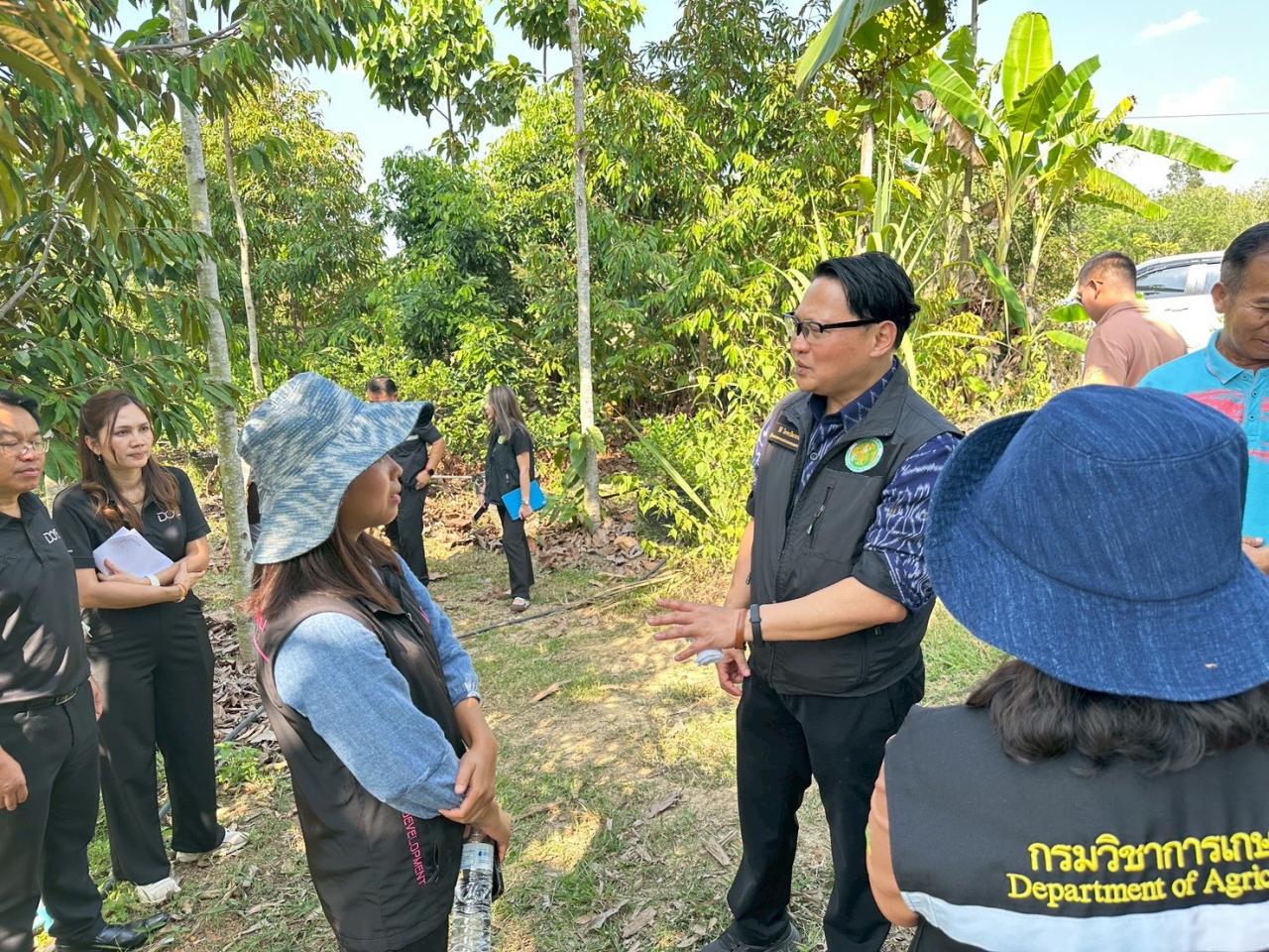 ภาพประกอบที่ 10