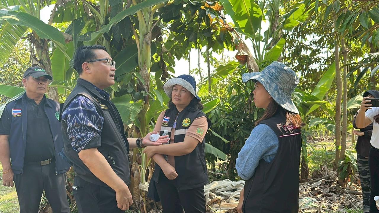 ภาพประกอบที่ 11