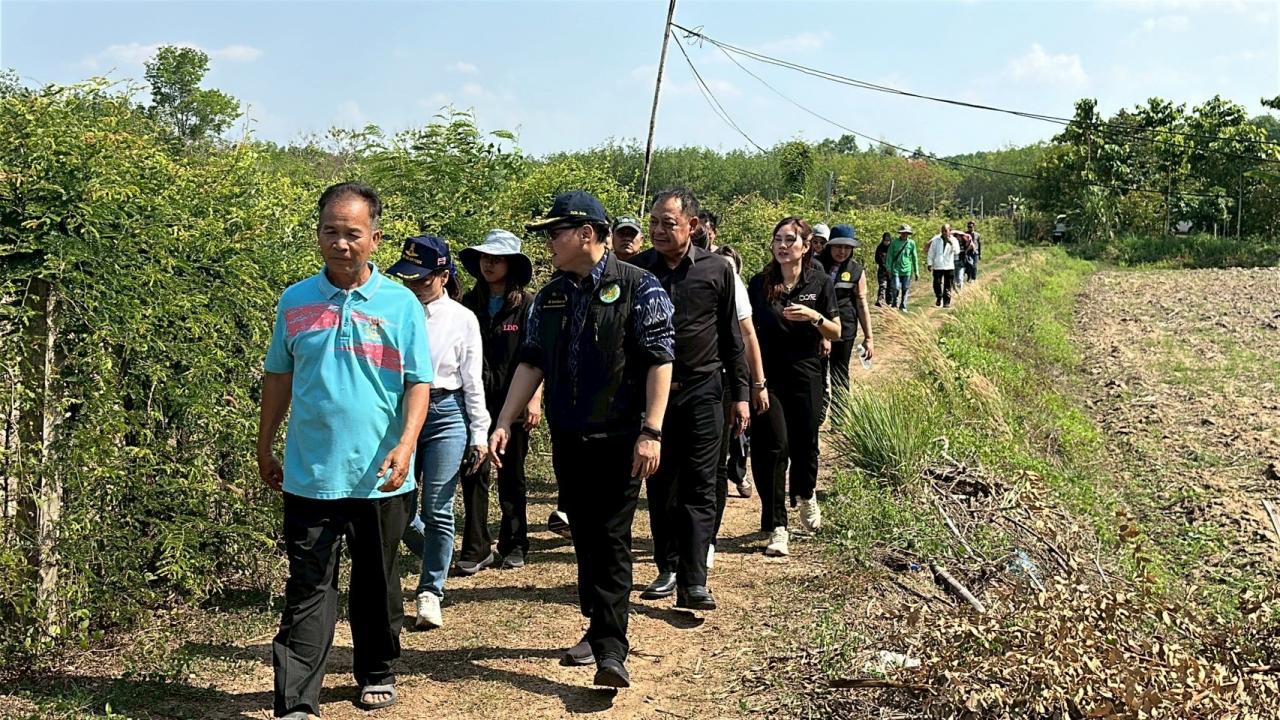 ภาพประกอบที่ 12