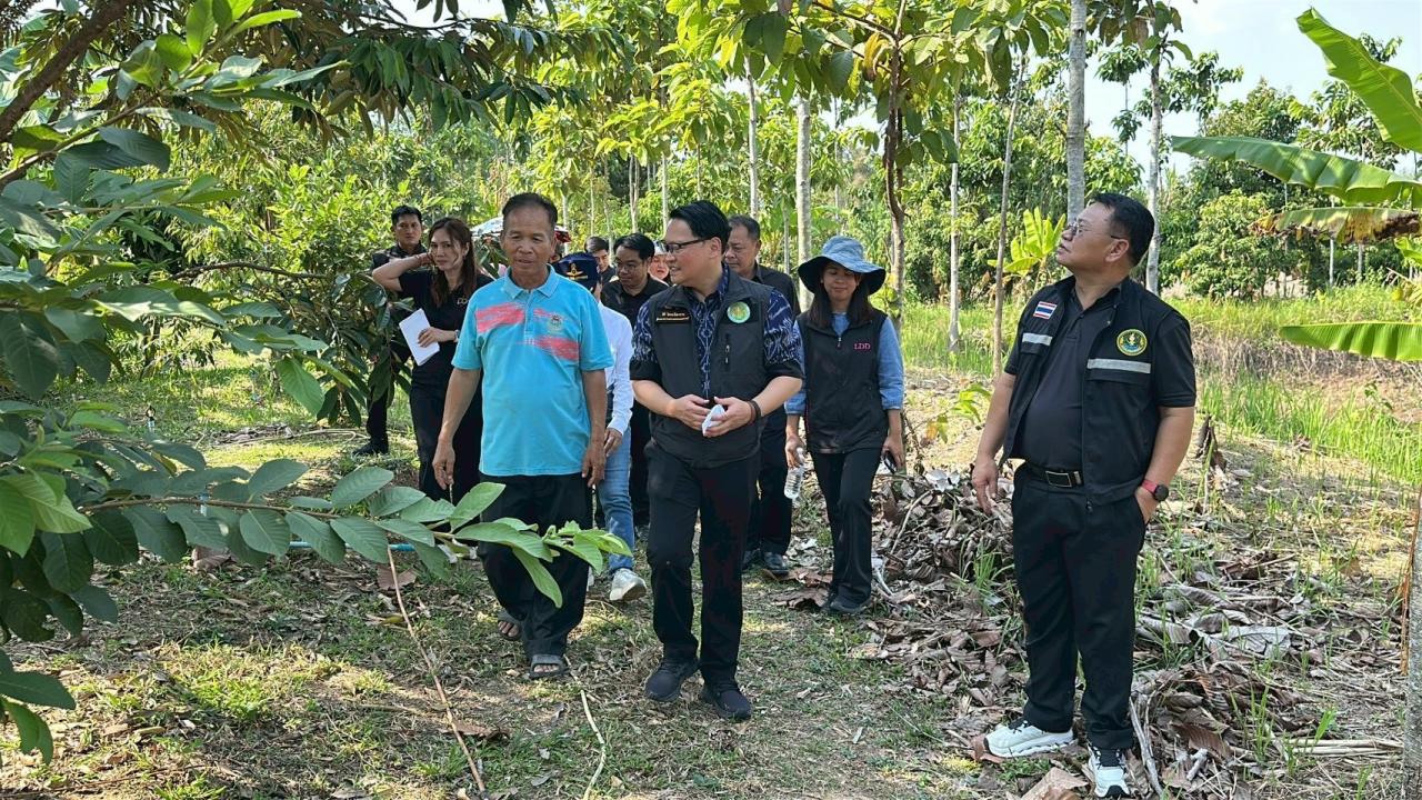 ภาพประกอบที่ 13