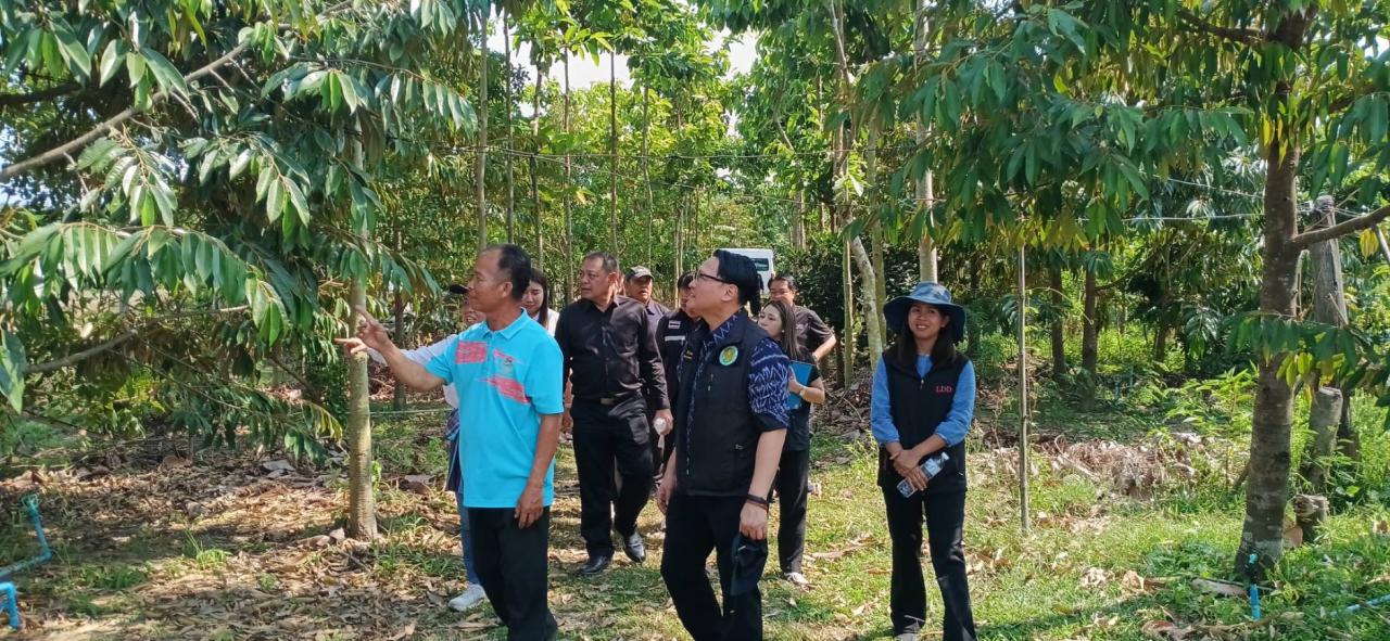 ภาพประกอบที่ 15