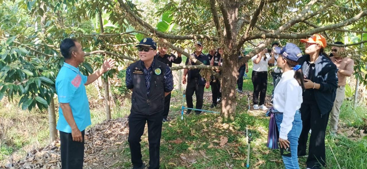 ภาพประกอบที่ 16