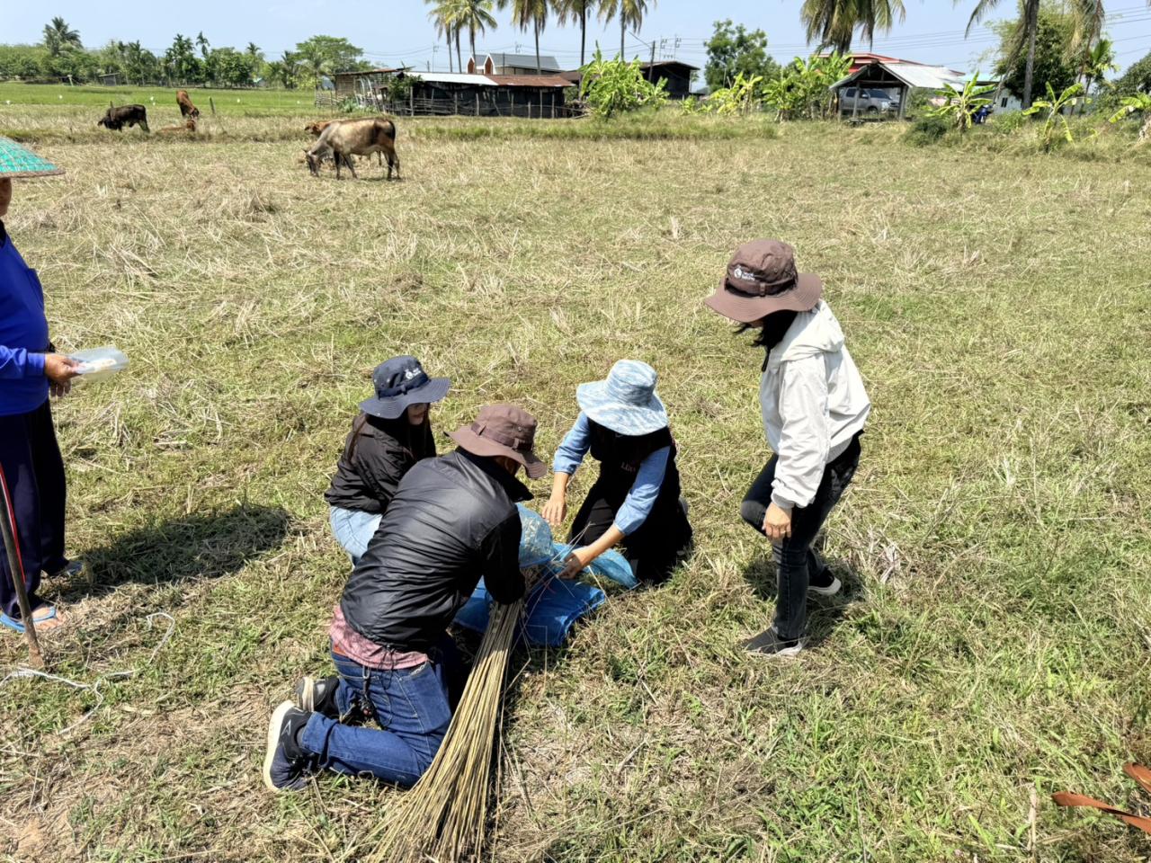 ภาพประกอบที่ 1