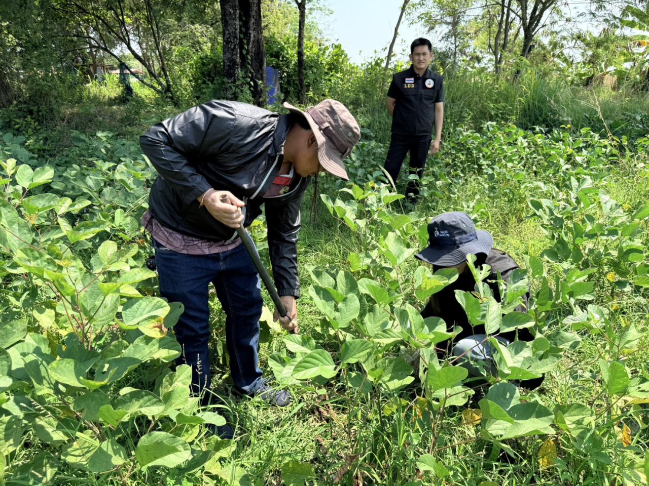 ภาพประกอบที่ 4