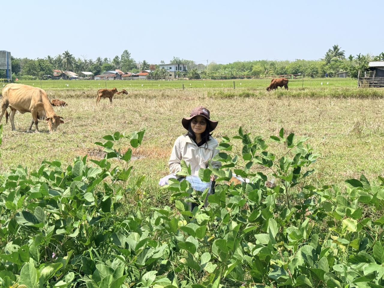 ภาพประกอบที่ 5