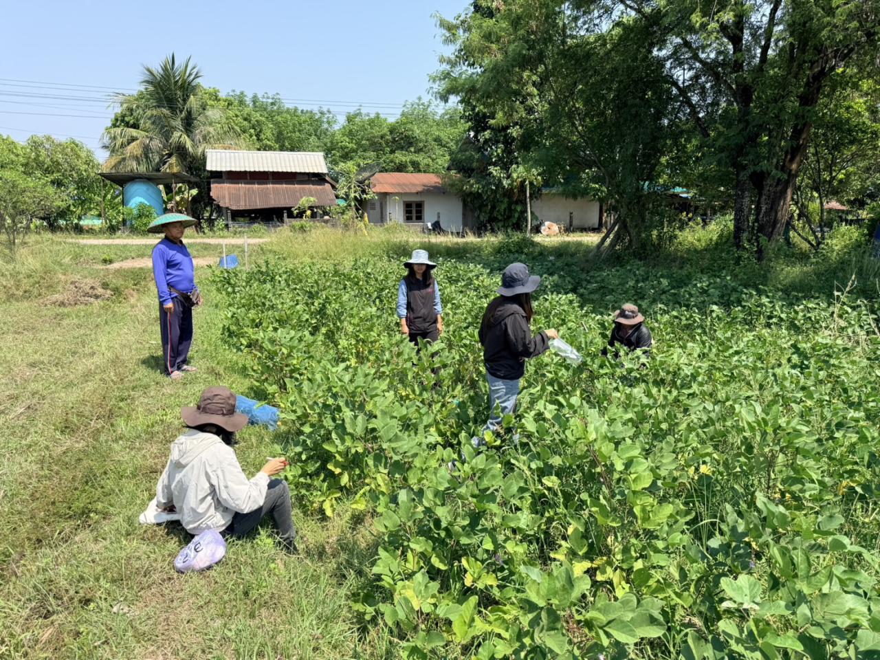 ภาพประกอบที่ 6