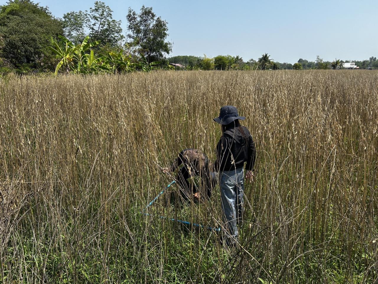 ภาพประกอบที่ 9