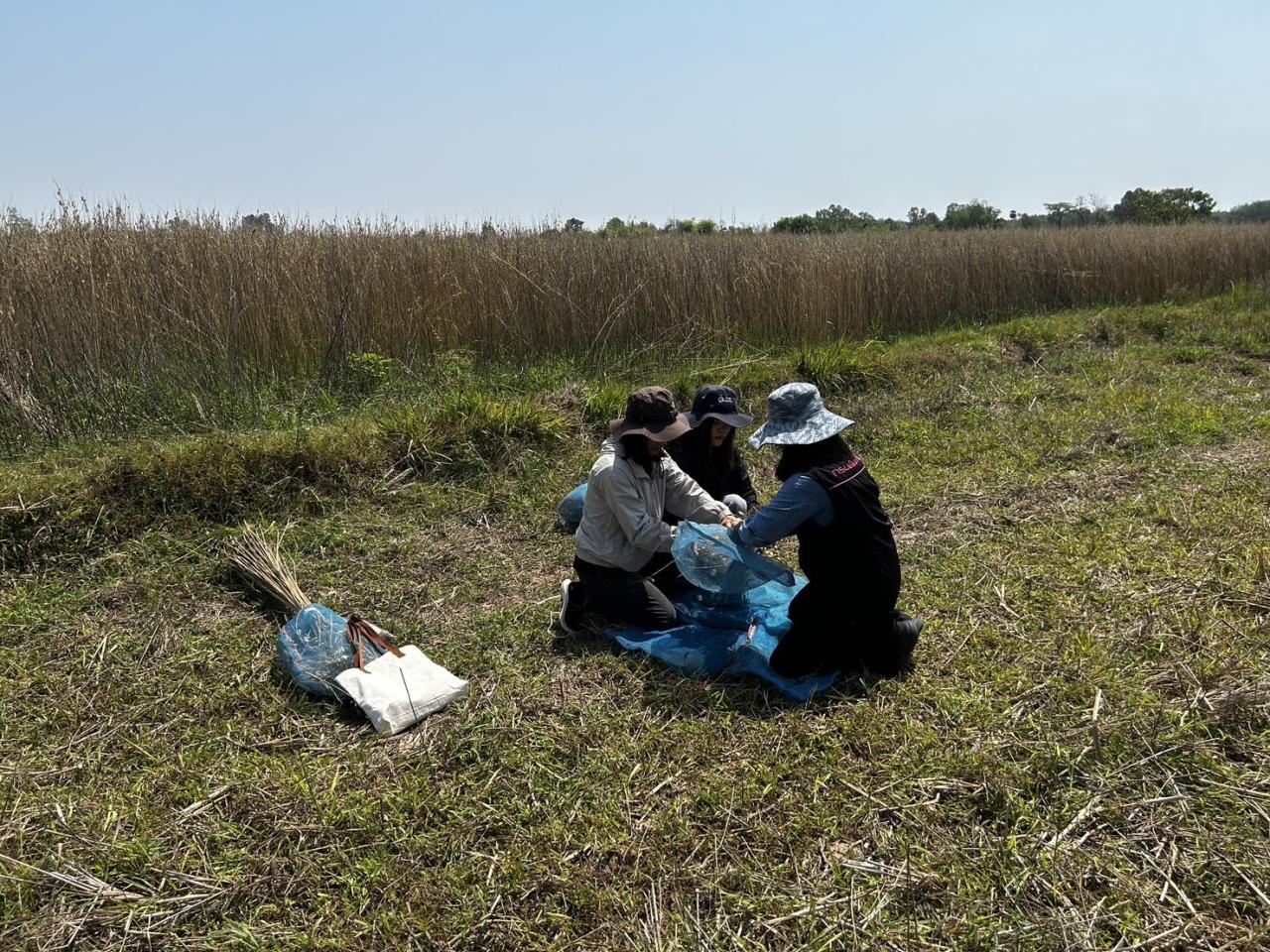 ภาพประกอบที่ 12