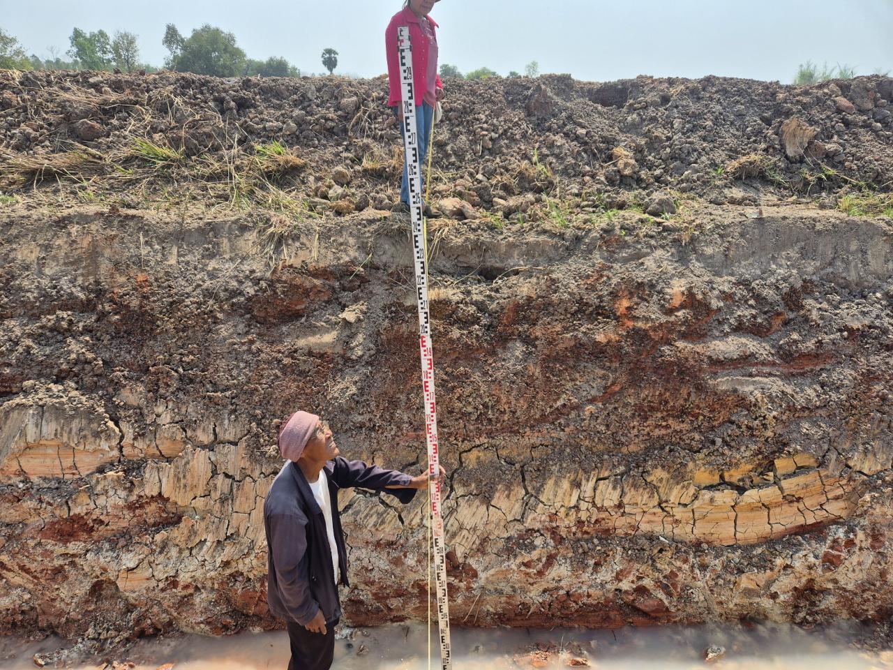 ภาพประกอบที่ 2