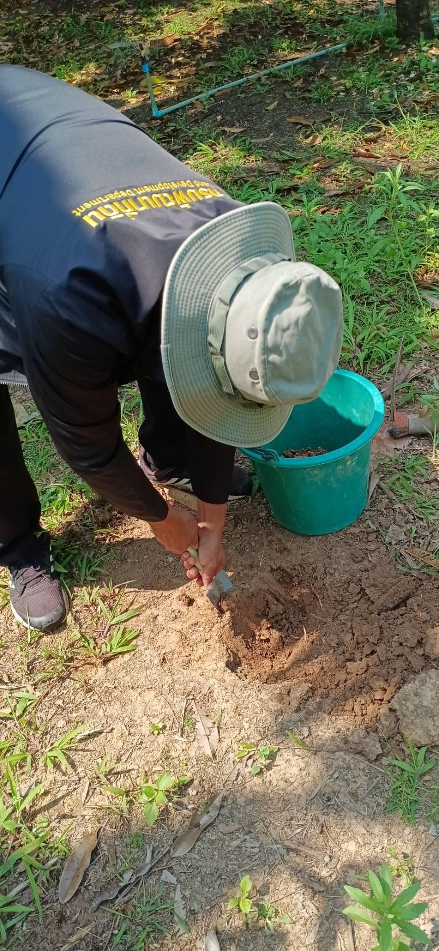 ภาพประกอบที่ 1