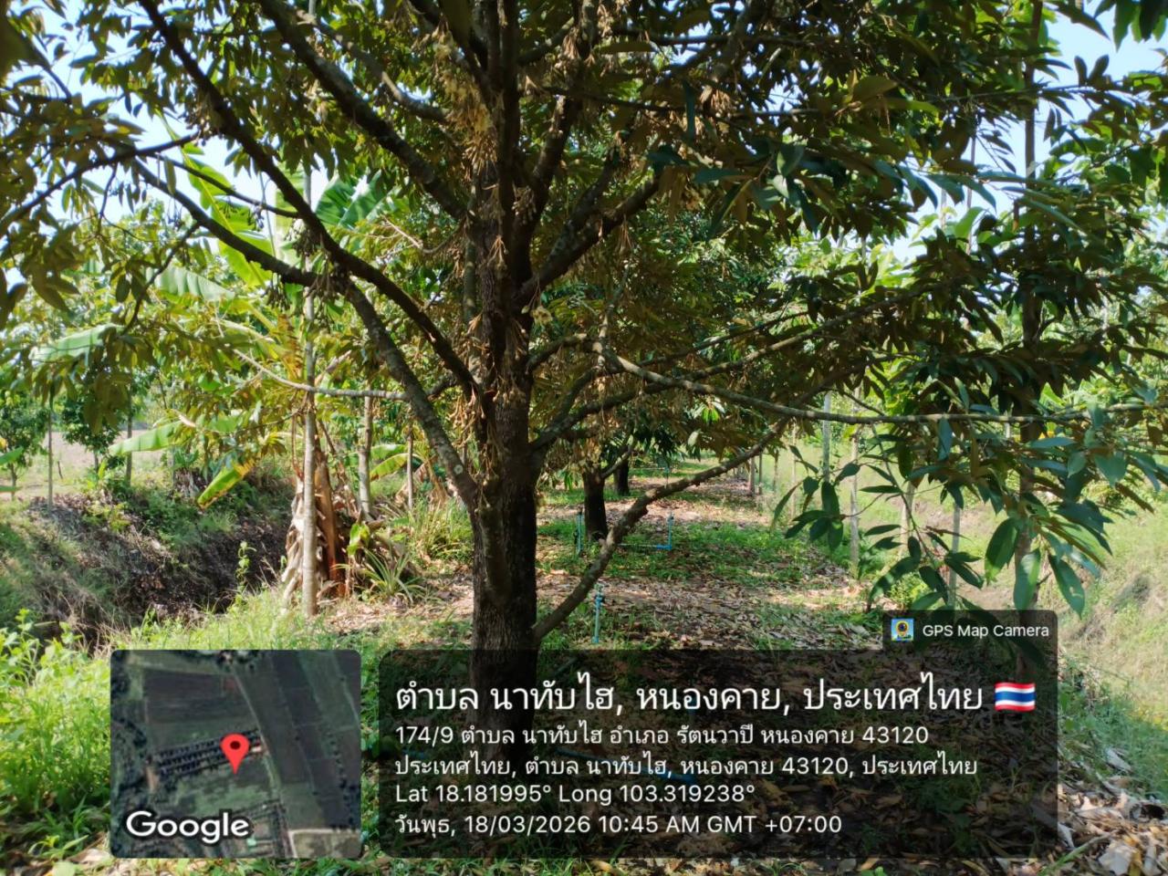 ภาพประกอบที่ 5