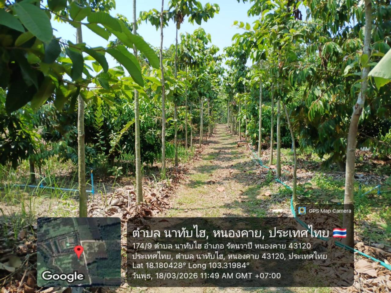 ภาพประกอบที่ 7