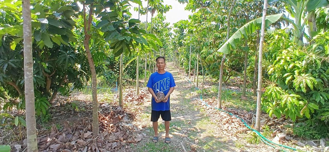 ภาพประกอบที่ 8