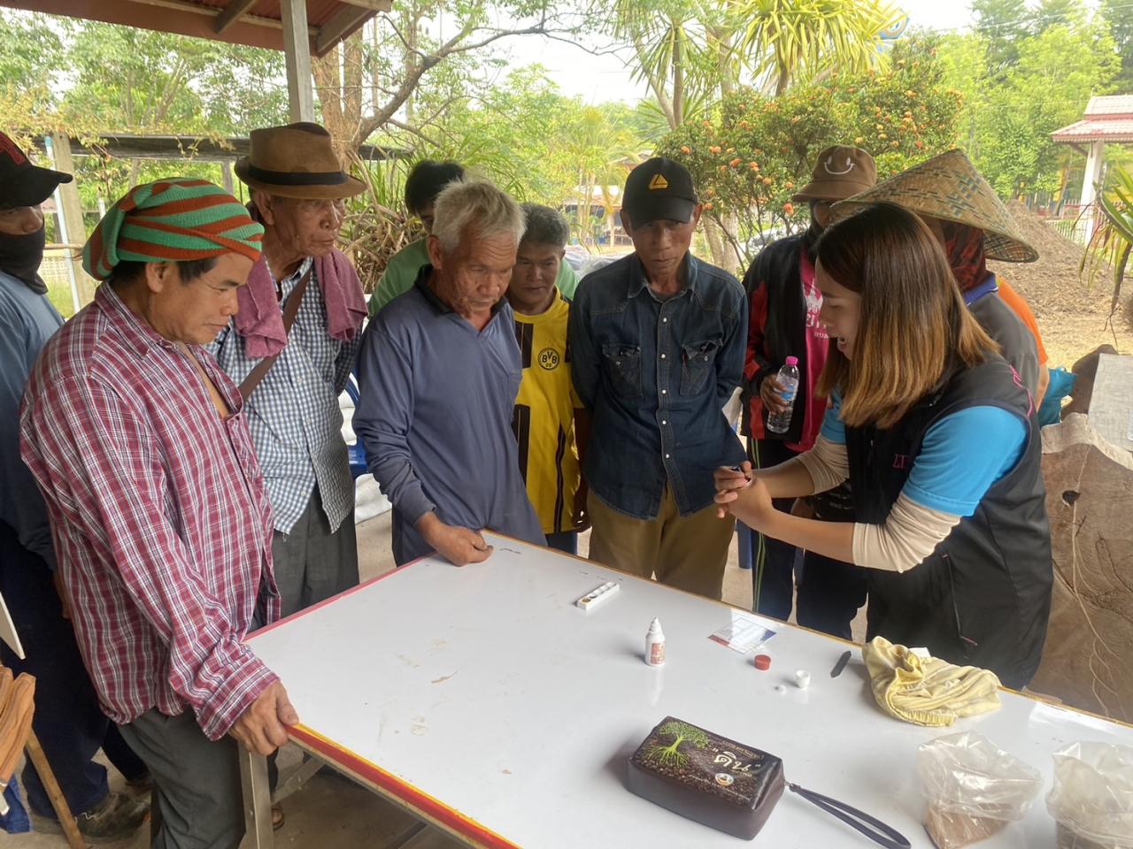 ภาพประกอบที่ 13