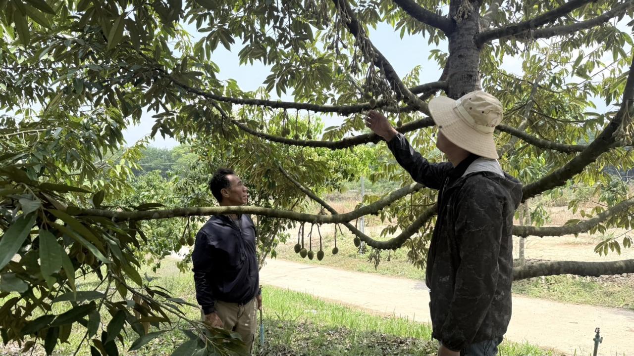 ภาพประกอบที่ 2