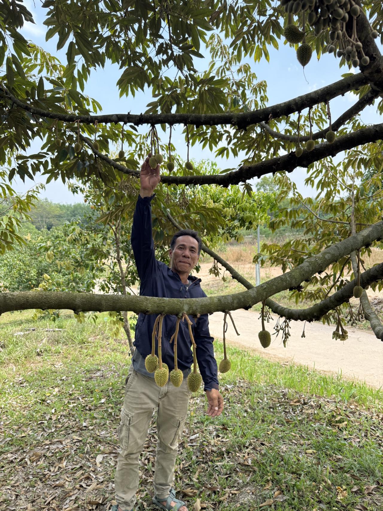 ภาพประกอบที่ 3