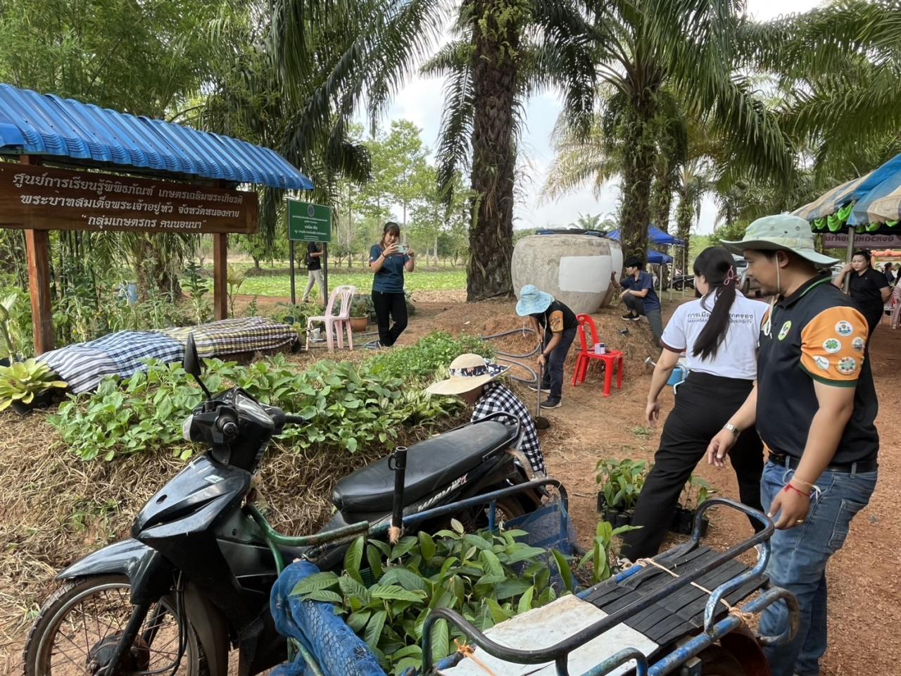 ภาพประกอบที่ 5