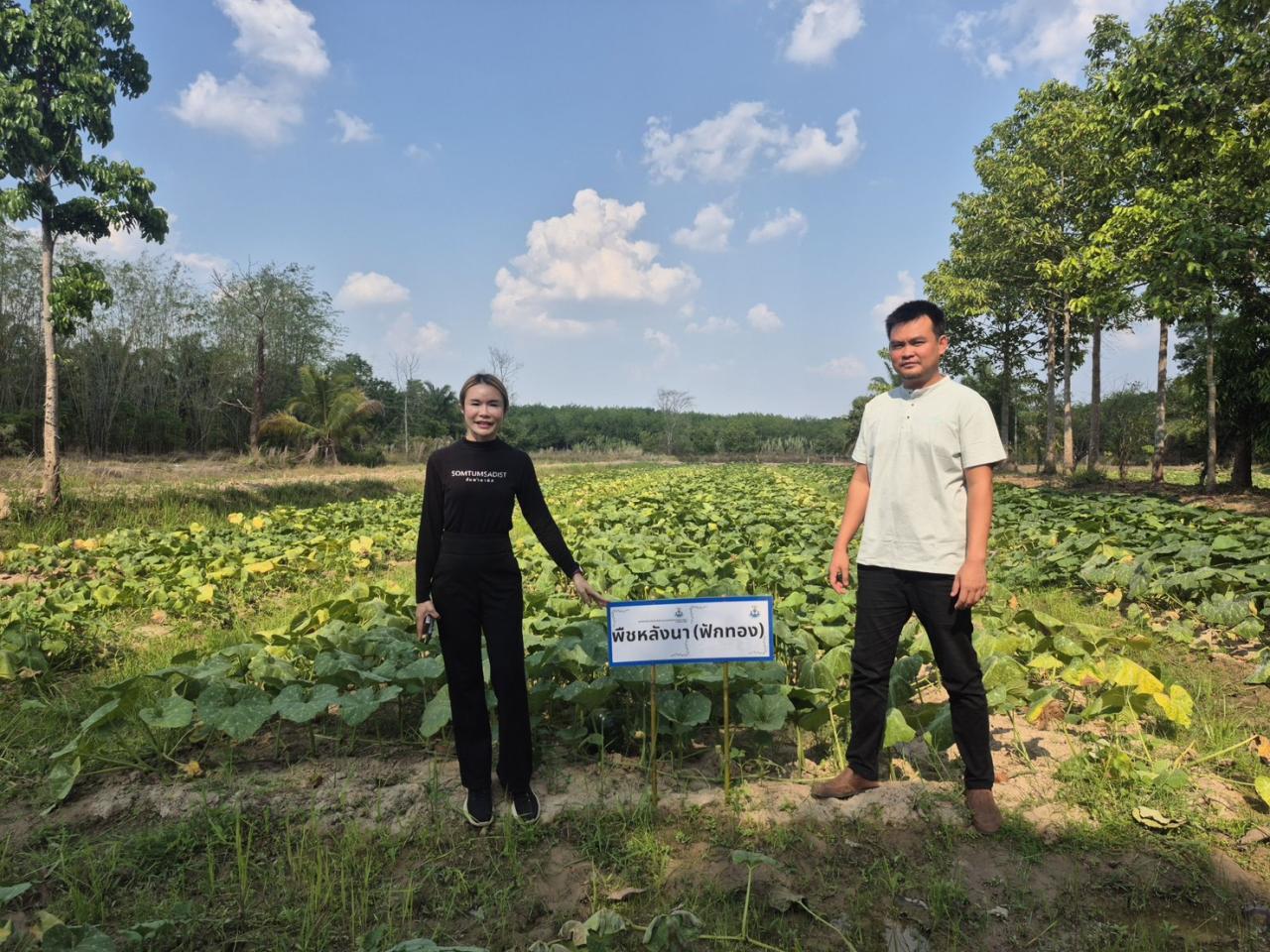 ภาพประกอบที่ 10