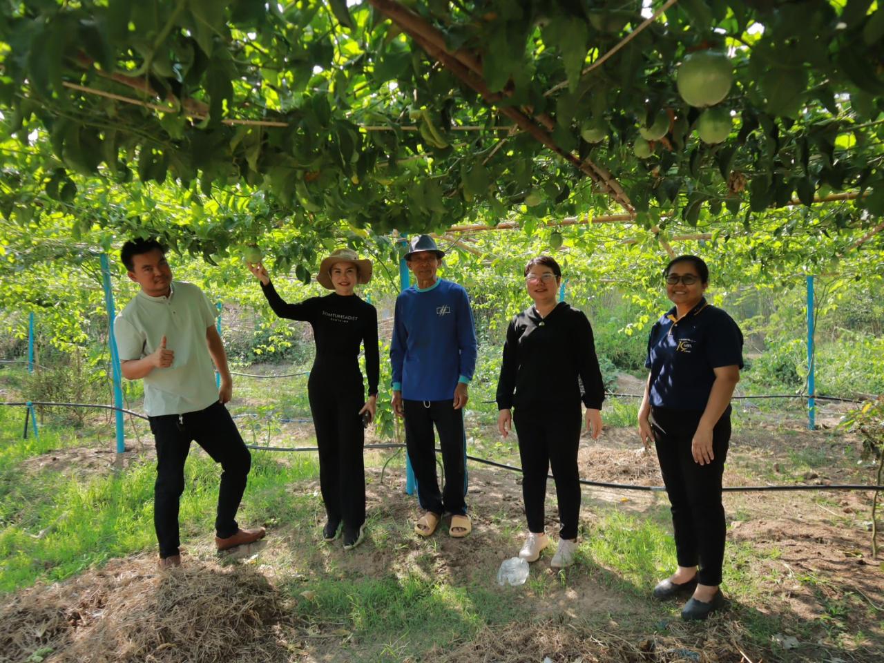 ภาพประกอบที่ 12