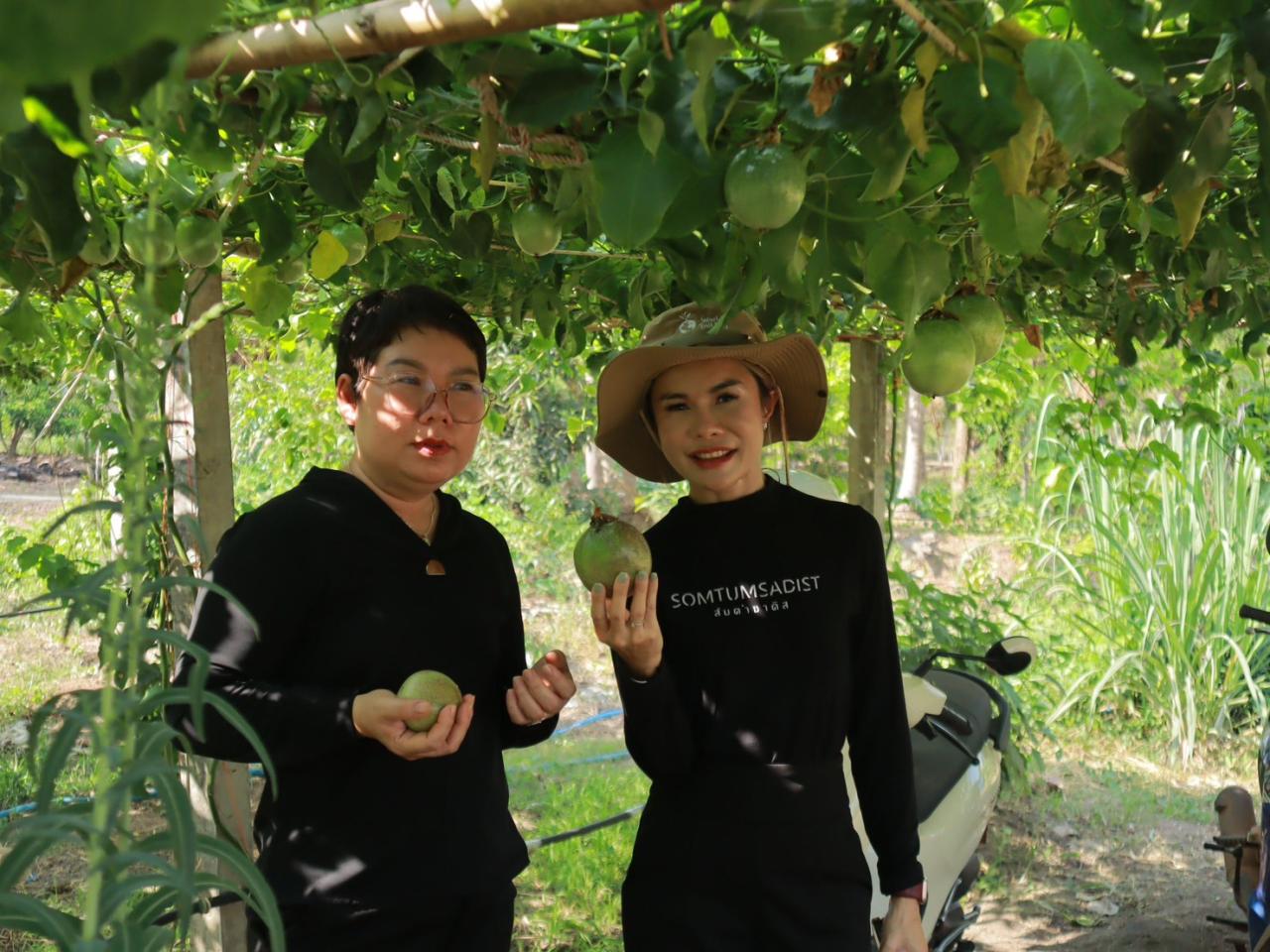 ภาพประกอบที่ 13