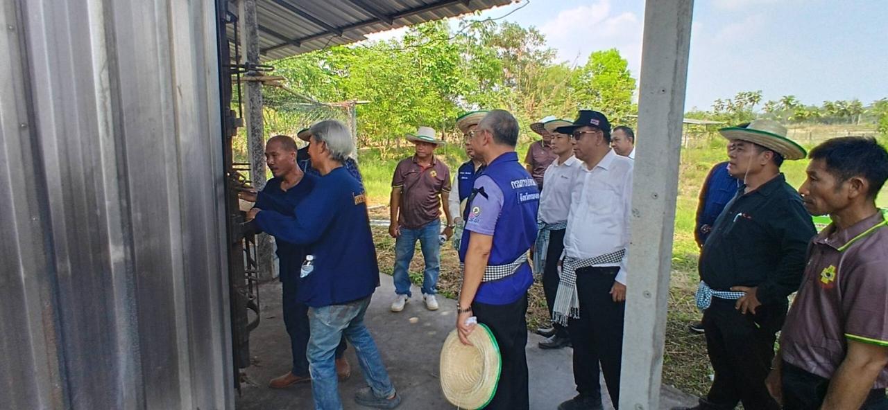 ภาพประกอบที่ 11