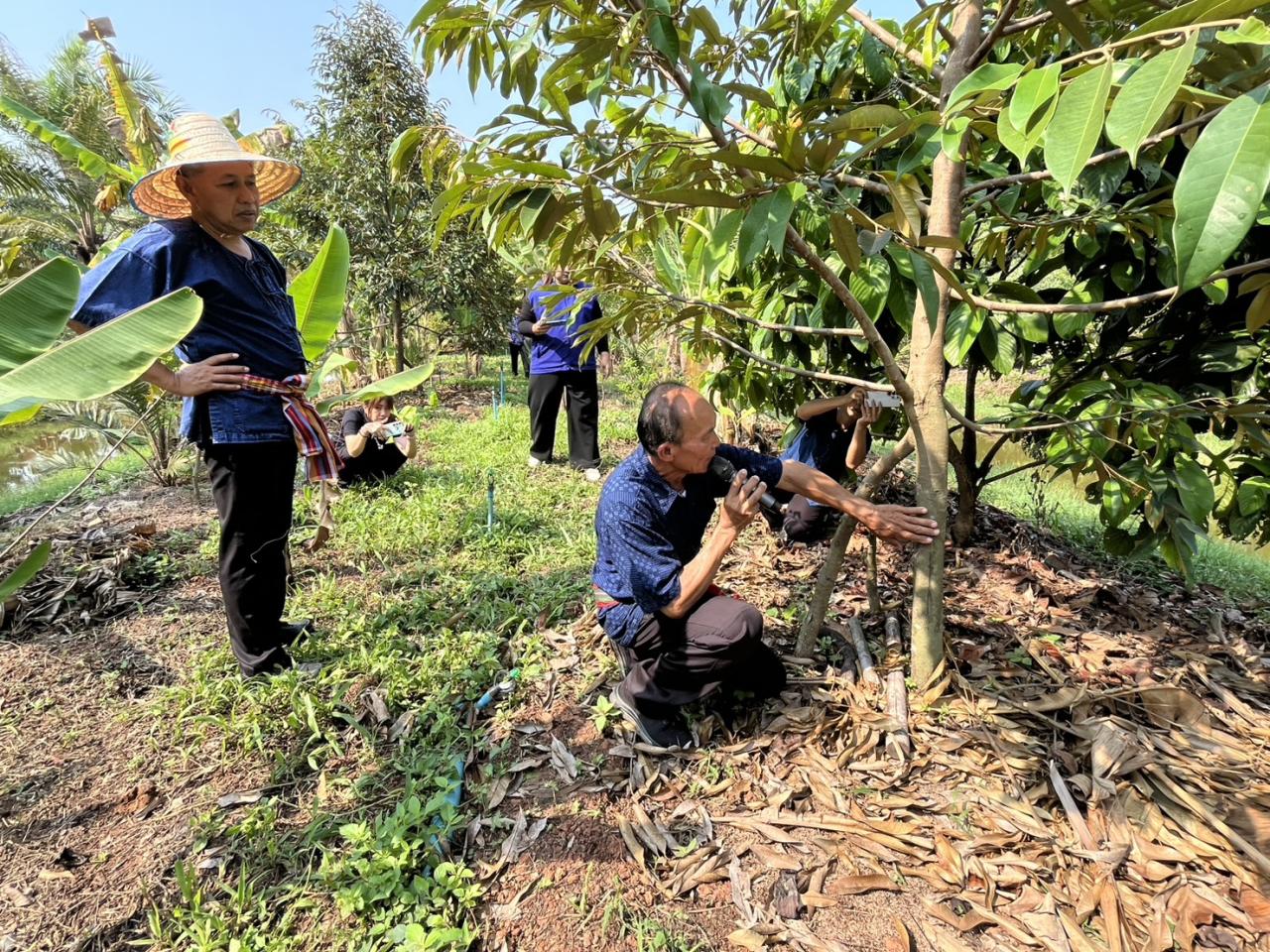 ภาพประกอบที่ 7