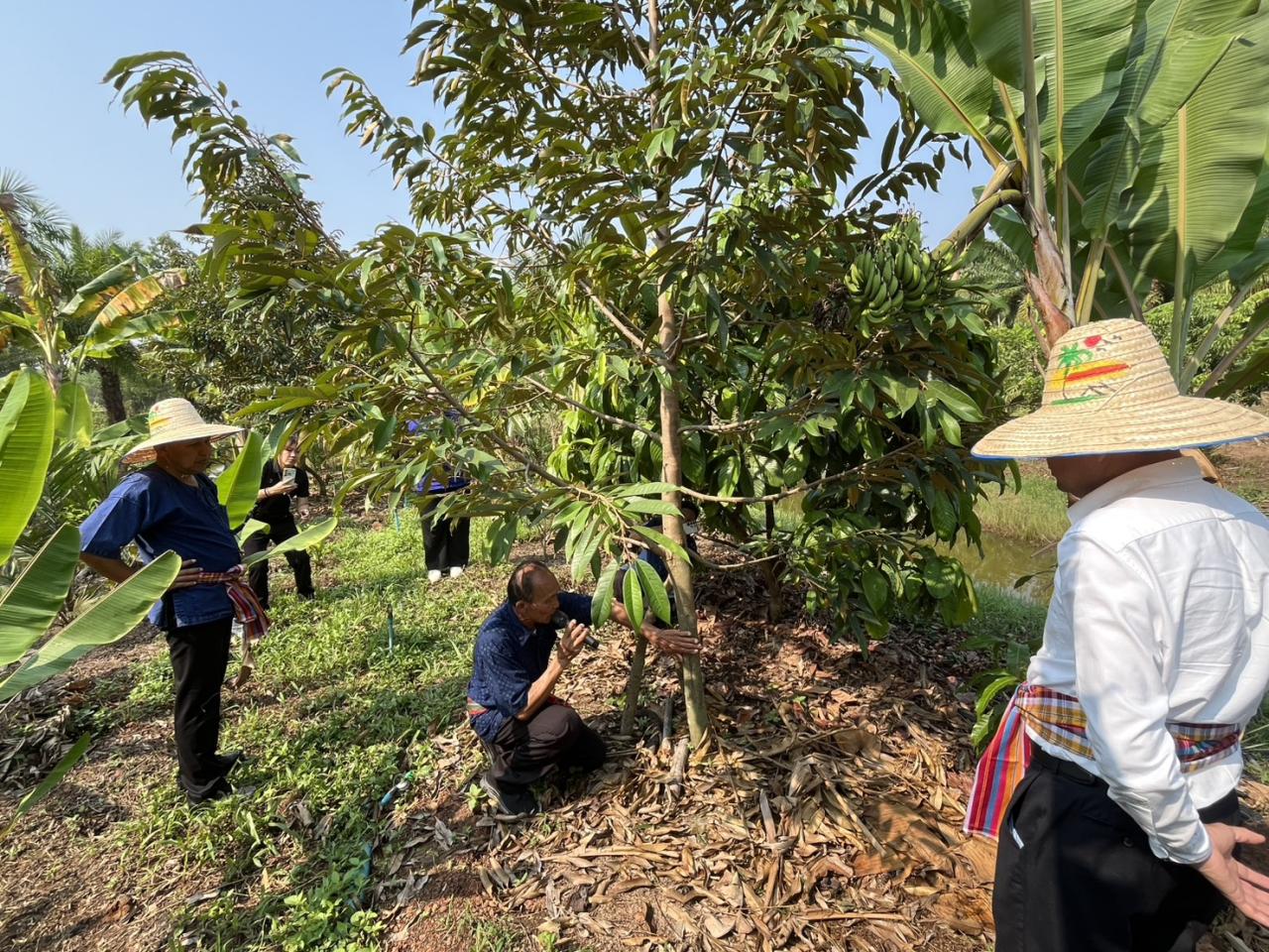 ภาพประกอบที่ 29