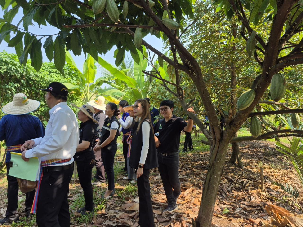 ภาพประกอบที่ 46