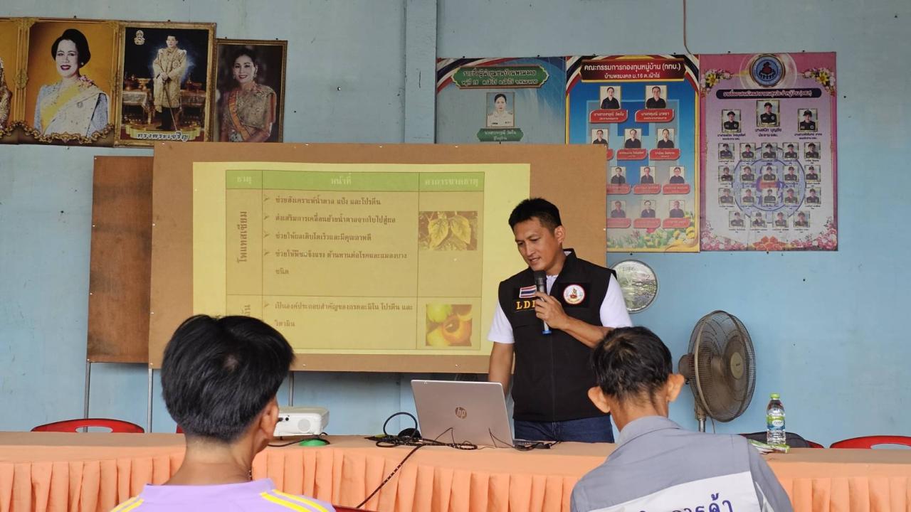 ภาพประกอบที่ 3