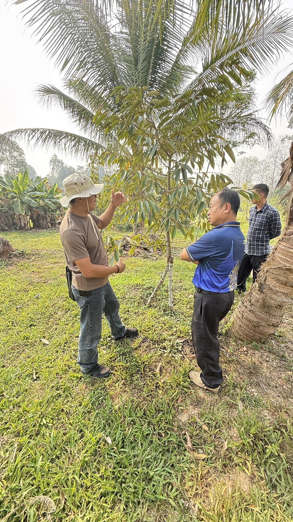 ภาพประกอบที่ 22