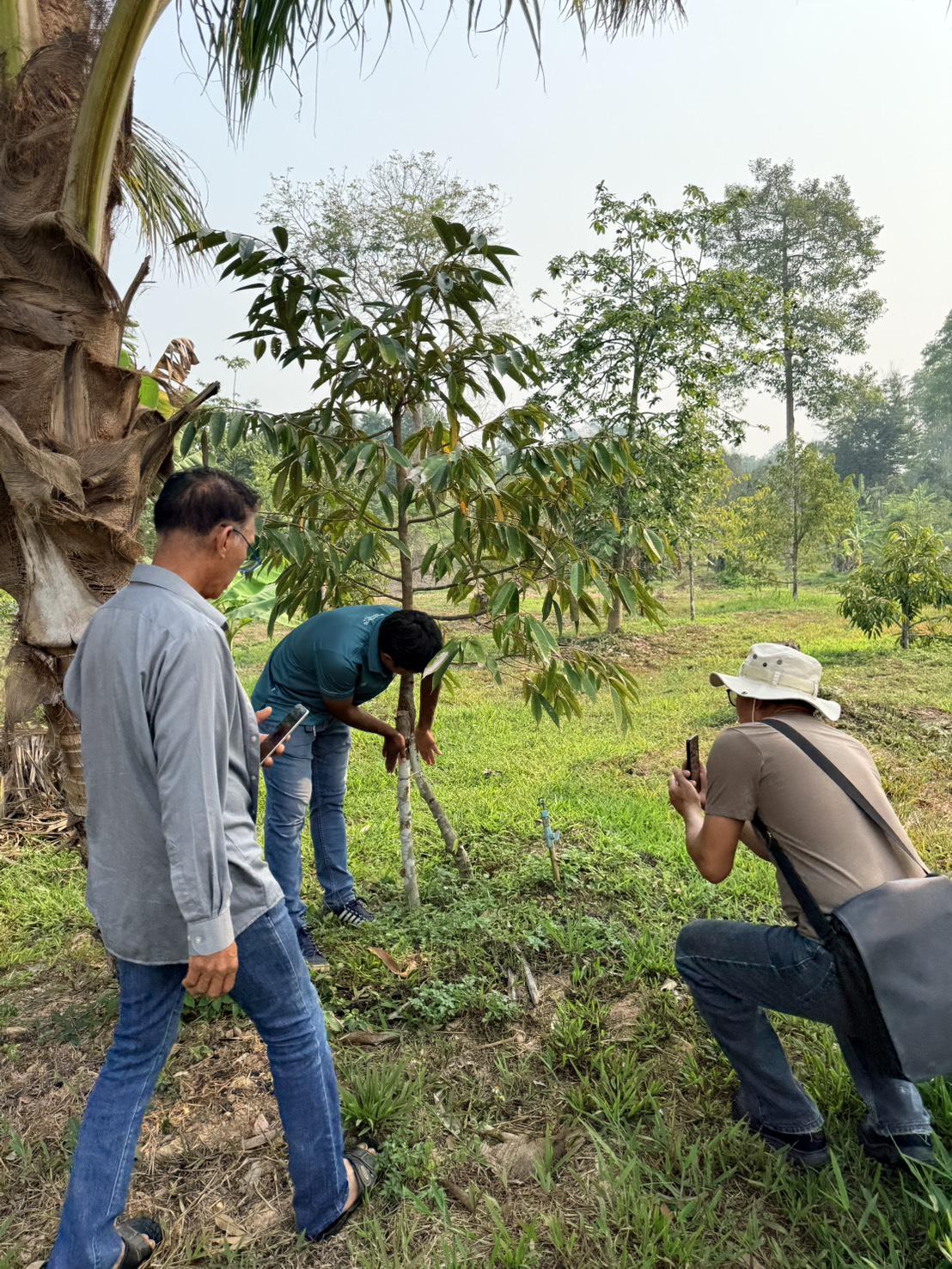 ภาพประกอบที่ 24