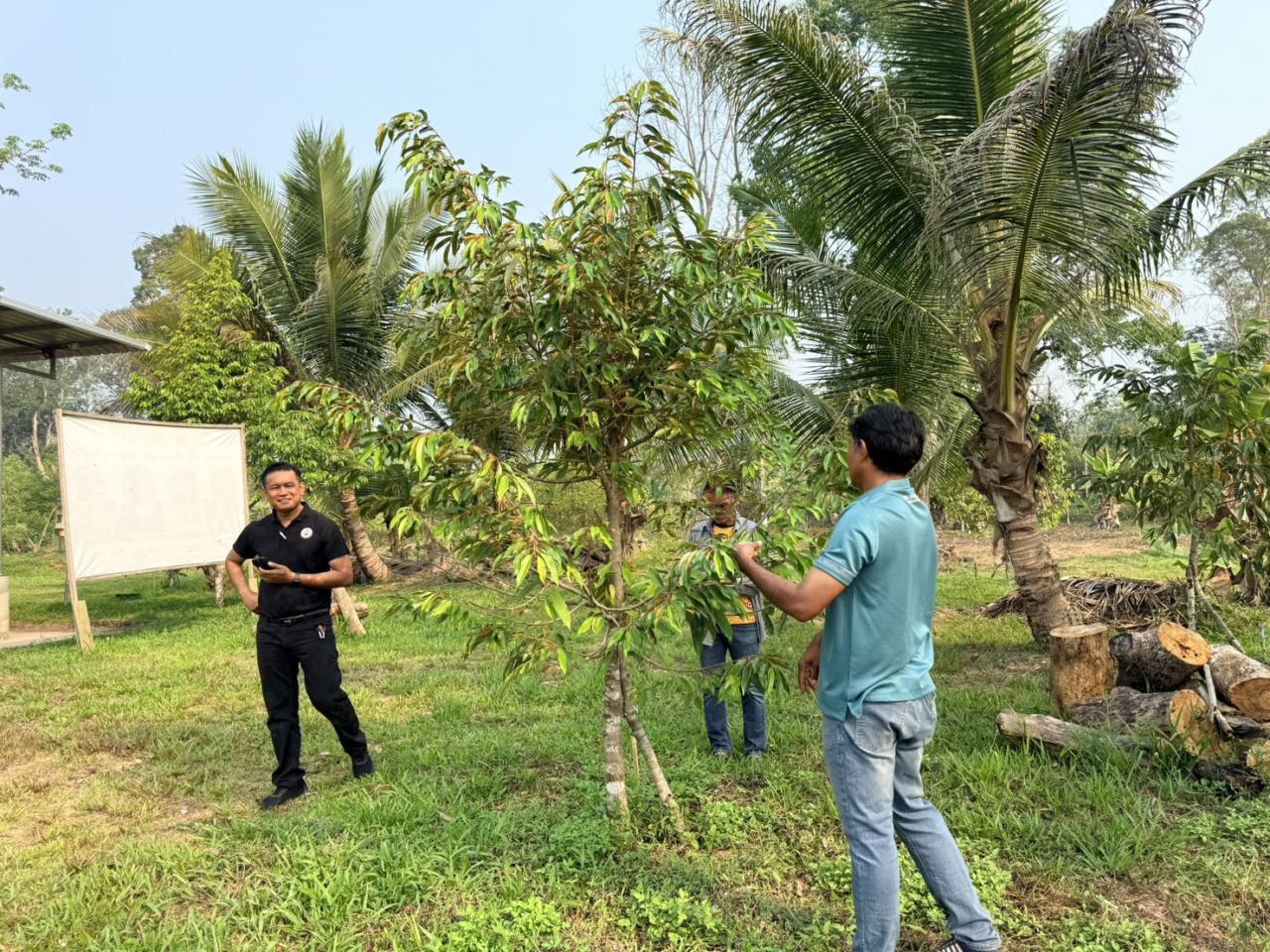 ภาพประกอบที่ 25
