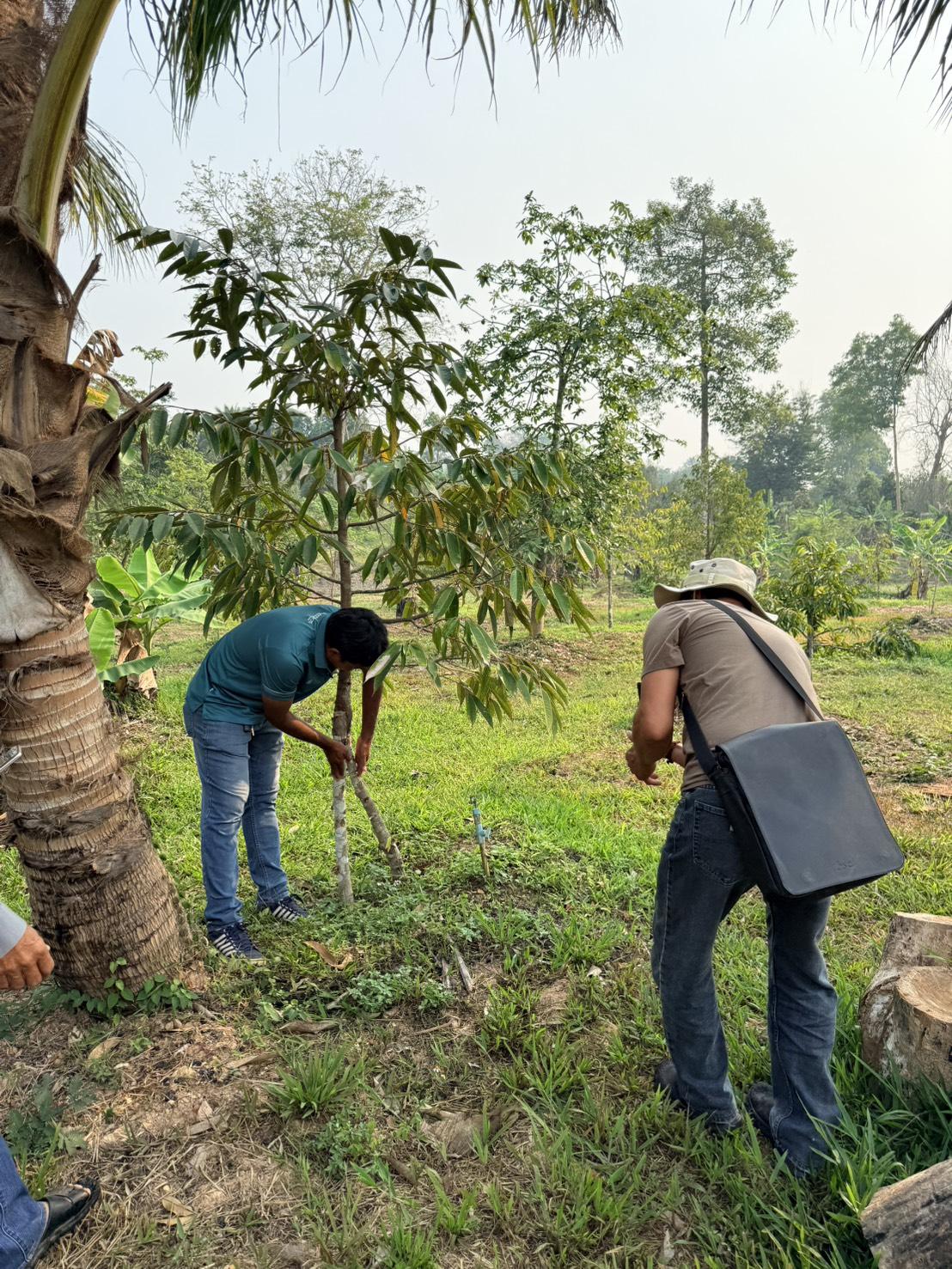 ภาพประกอบที่ 26