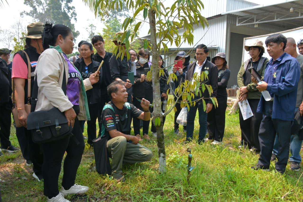 ภาพประกอบที่ 27