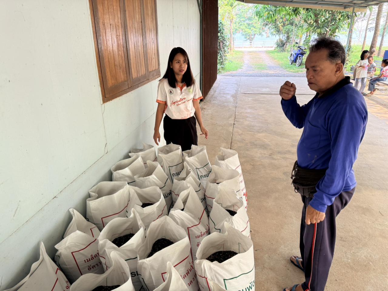 ภาพประกอบที่ 0