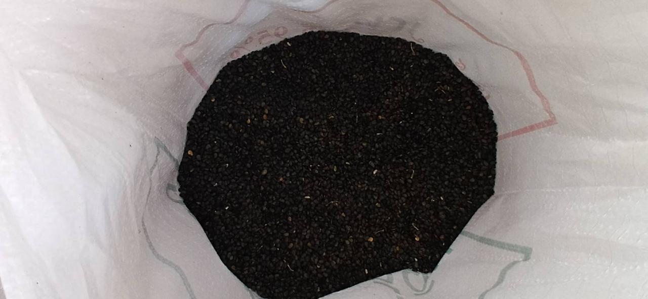 ภาพประกอบที่ 6