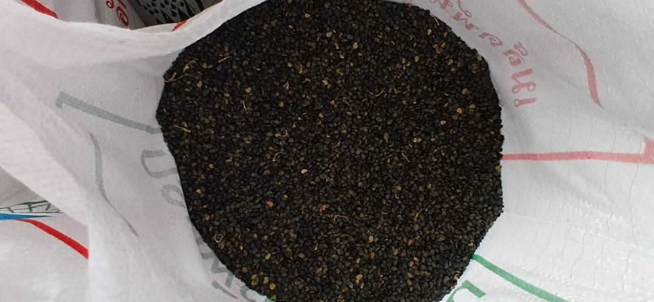 ภาพประกอบที่ 7