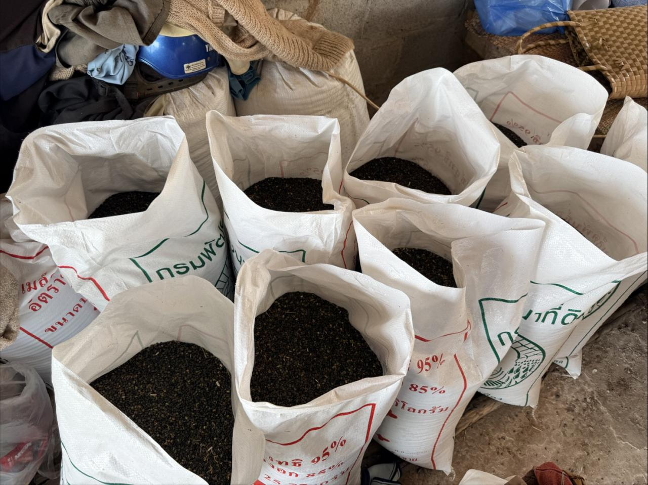 ภาพประกอบที่ 8