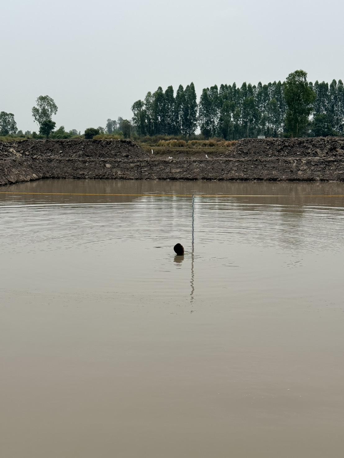 ภาพประกอบที่ 13